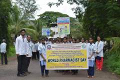Pharmacist-day