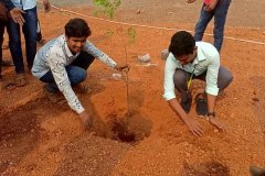 Tree-Plantation-2