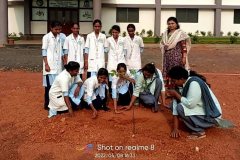 Tree-Plantation-3