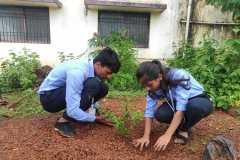 Tree-Plantation-4