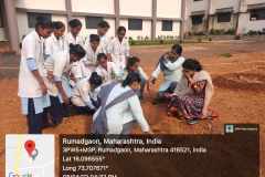 Tree-Plantation