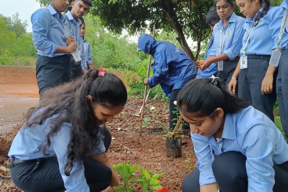 Plantation Drive 1
